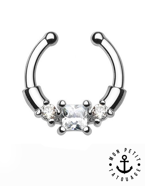 septum08-argent